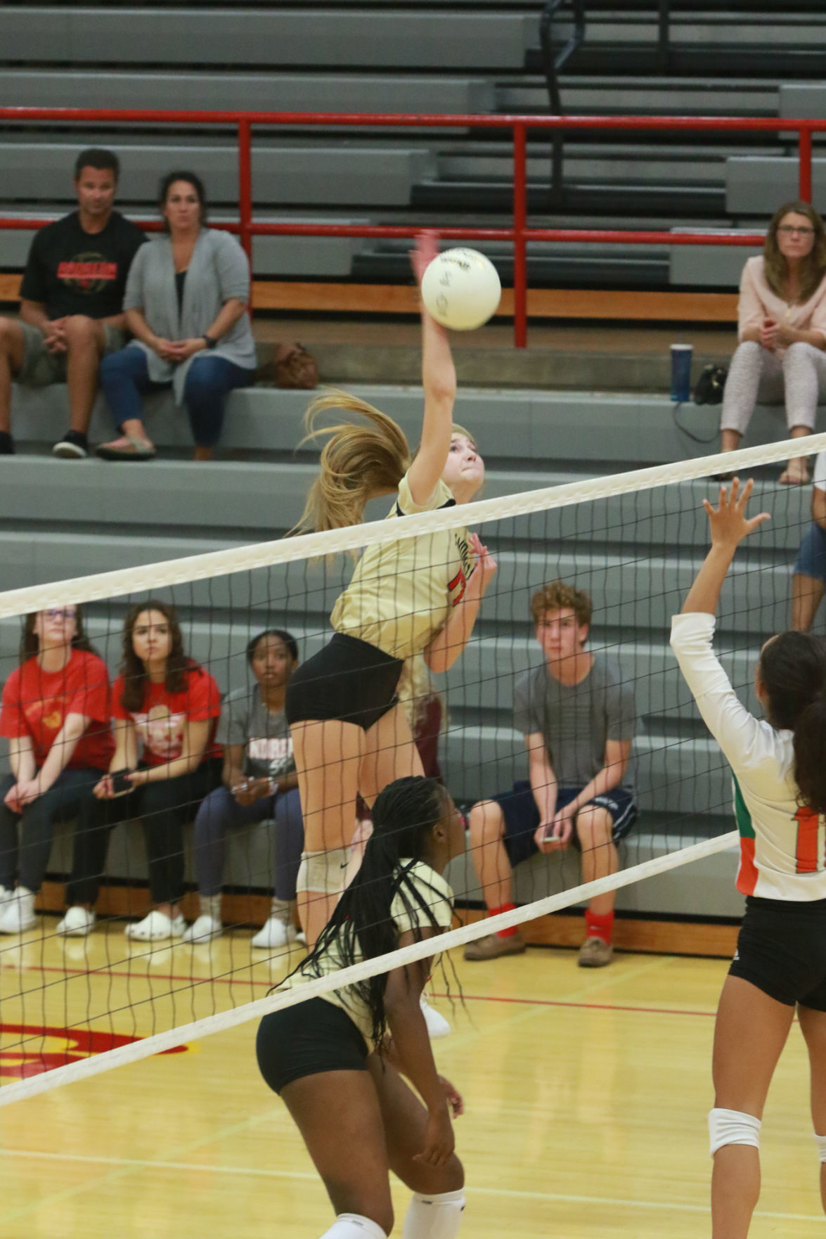 Gallery: Girls volleyball - Wheeler at Andrean